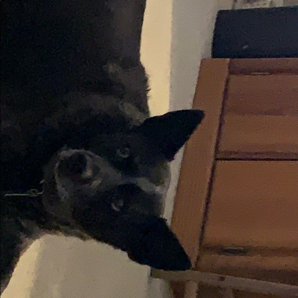 Meet your Posher, Marloe